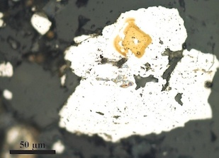 Shown at 50X magnification, whitish pyrite—iron sulfite or “fool’s gold”—is embedded in gray carbonate rock, formed in a shallow sea some 2.5 billion years ago. Stable isotopic analysis produced the first evidence of sulfur-respiring bacteria in rocks of this type and age. Credit: Iadviga Zhelezinskaia